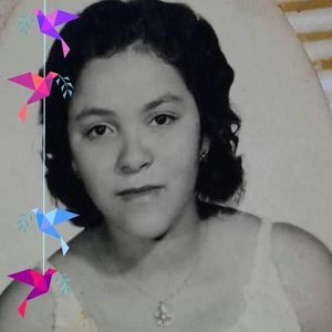 Meet your Posher, Mirtha